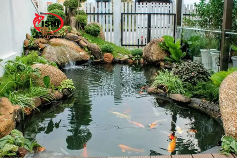 Tiêu Chuẩn Hồ Cá Koi: Thiết Kế & Xây Dựng Hồ Cá Koi Lý Tưởng