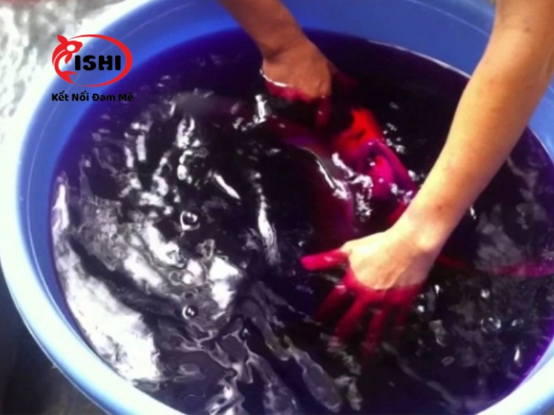 Liều lượng và thời gian sử dụng thuốc tím cho cá koi