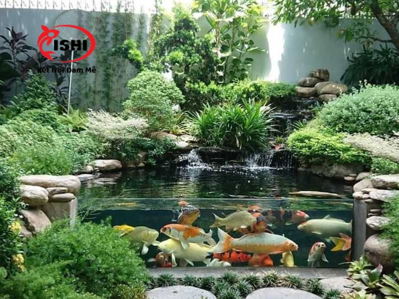 Cách bố trí cây trồng và trang trí hồ cá Koi