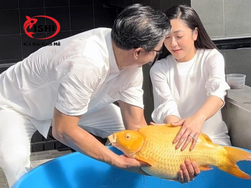 Giới thiệu về IshiKoi Farm