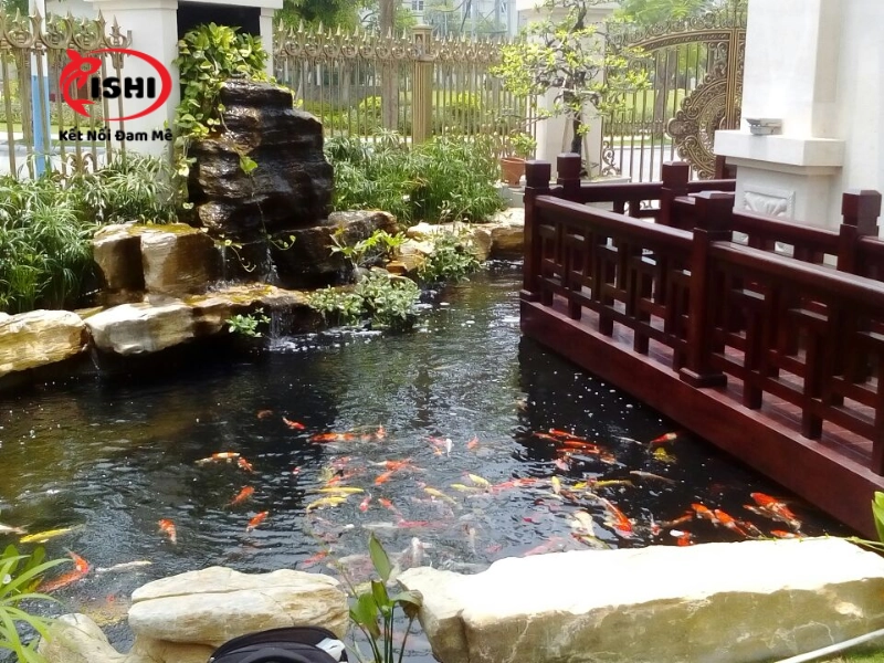 Giới thiệu về IshiKoi Farm