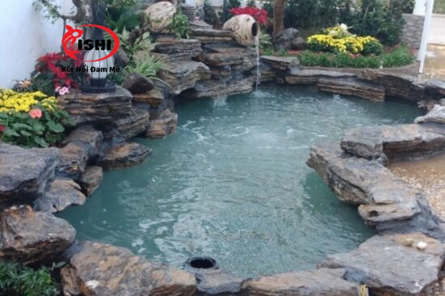 Xử Lý Hồ Cá Koi Mới Xây Xong Hiệu Quả & An Toàn