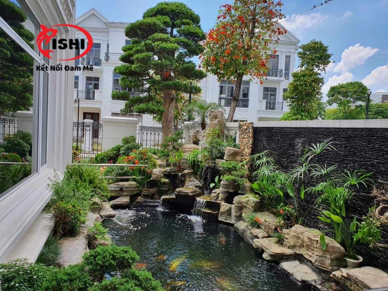 Giới thiệu về IshiKoi Farm