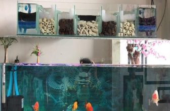 Các mẫu hộp lọc tràn bằng nhựa đẹp nhất năm 2022