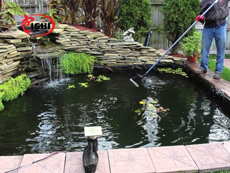 Vệ sinh hồ cá thường xuyên để điều trị bệnh ngủ ở cá koi