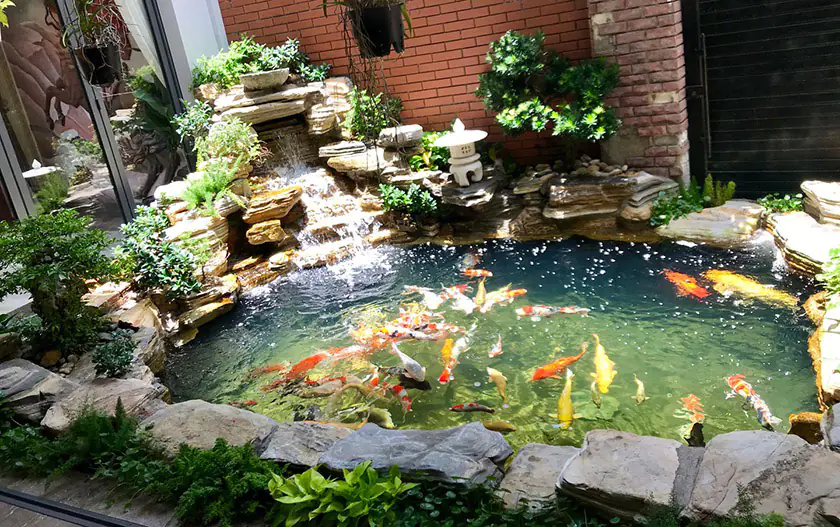 Cần lưu ý đến độ sâu của thiết kế hồ cá Koi mini trong nhà