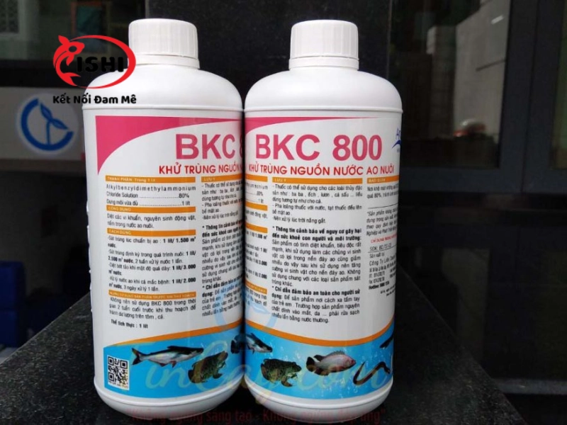 Sử dụng thuốc trị nấm trắng BKC cho cá koi
