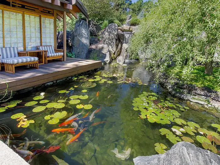 Mẫu hồ cá Koi bao quanh nhà