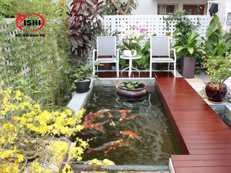 Giới thiệu về IshiKoi Farm