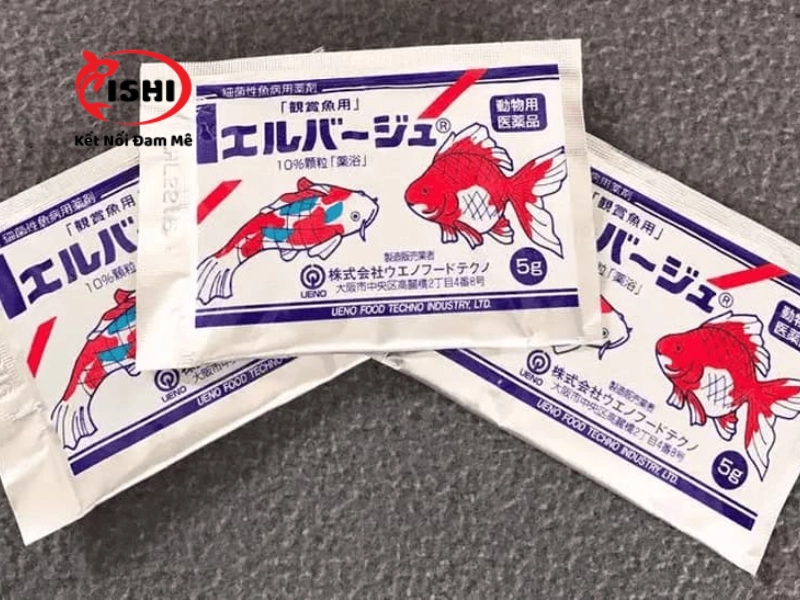 Sử dụng tetracylcine chữa nấm trắng cho cá Koi