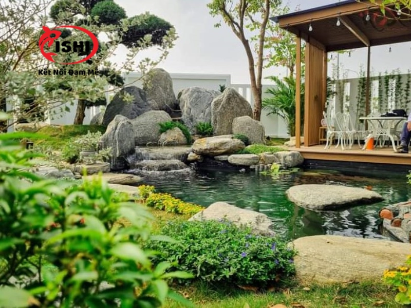 Nhu cầu mua cá Koi tại Kon Tum