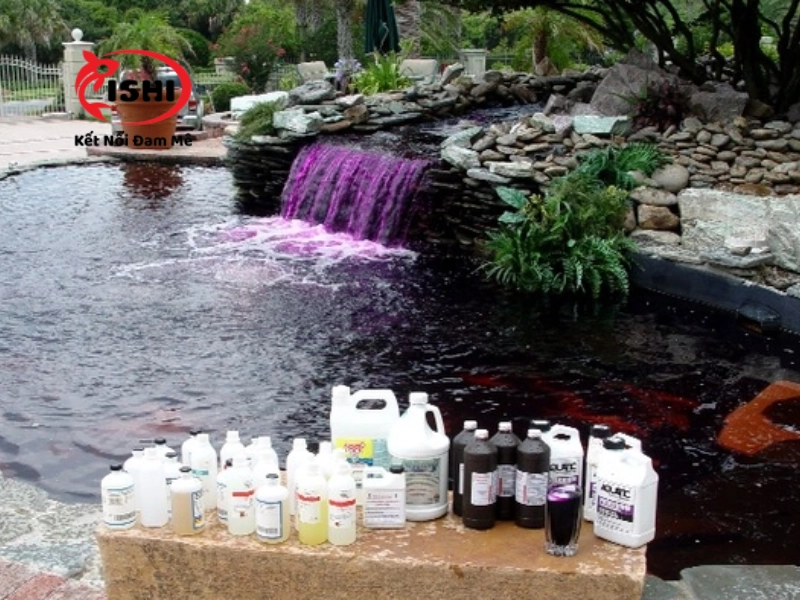 Những lý do nên sử dụng thuốc tím cho cá koi